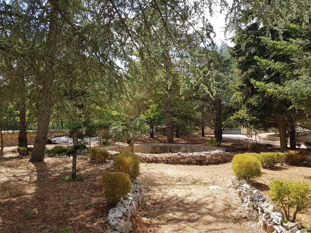 Villa Venus Woods Μαρτίνα Φράνκα Εξωτερικό φωτογραφία